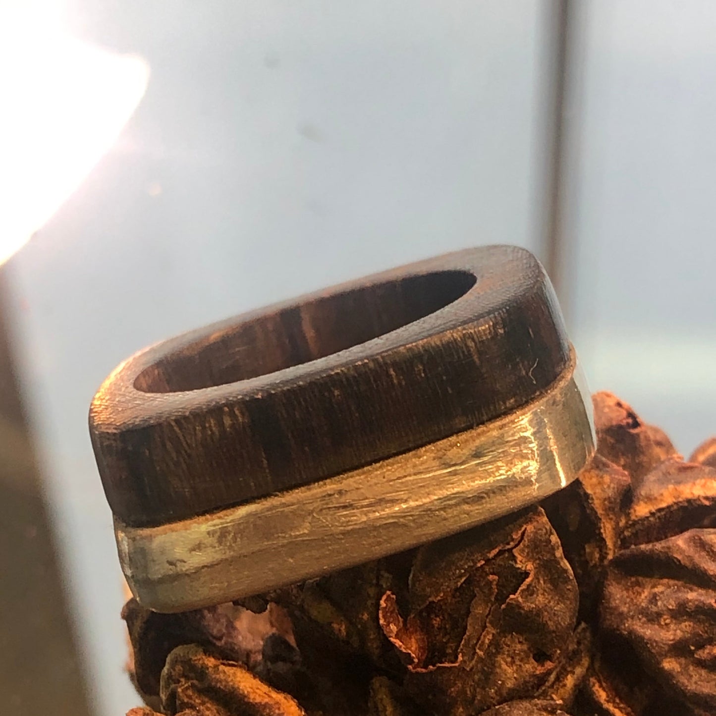 Ebenholz Allianz